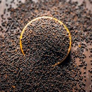 Black Mustard Seeds for Cooking