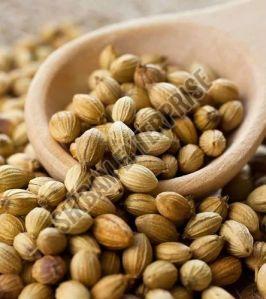 Raw Coriander Seeds For Cooking