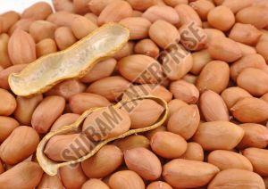 Java Peanuts For Human Consumption