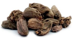 black cardamom