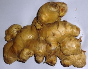 Fresh Ginger