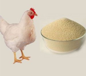 Poultry Feed Supplement, Packaging Size : 5-10 Kg