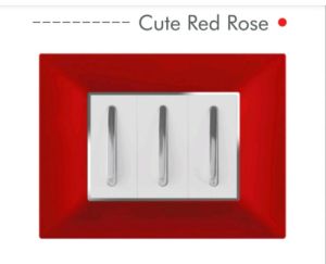 Hosper RR02 2 M Cute Red Modular Switch Plate Cover