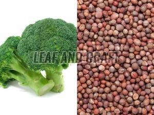 Raw Natural Broccoli Seeds For Agriculture Use