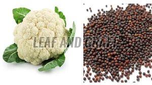 Cauliflower Seeds, Packaging Size : 5-10kg