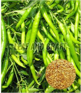 Raw Green Chilli Seeds For Agriculture Use