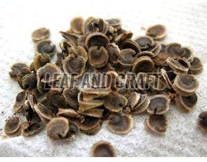 Natural Hollyhock Seeds For Gardening