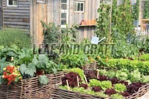 Kitchen Gardening Service