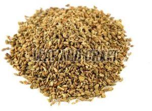 Thyme Seeds, Grade : Food Grade