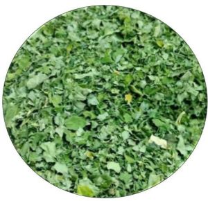 Dried Organic Moringa Leaves For Medicine, Cosmetics