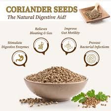 Coriander Seeds