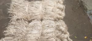 Jute Raw Material, Color : White