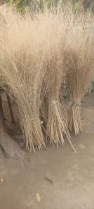 Natural Real Dried Willow Branch For Decoration, Home, Office, Restaurant, Hotel