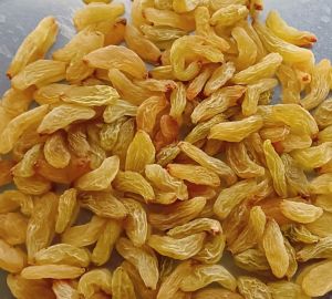 dried raisin, Packaging Type : Black & Dark Brown for Cooking