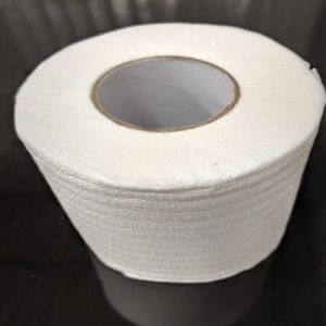 100 Gm Premium Toilet Paper Rolls