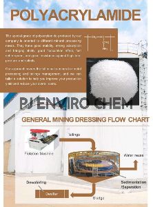 Dewatering Polyelectrolyte