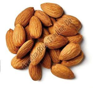 Common Bitter Almond Nuts, Taste : Crunchy, Packaging Type : Vaccum Bag For Milk, Sweets