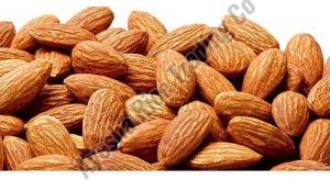 Common Sweet Almond Nuts, Taste : Crunchy, Packaging Type : Vaccum Bag For Milk