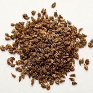 Common Whole Ajwain Seeds, Color : Brown, Packaging Type : Packet For Food Medicine