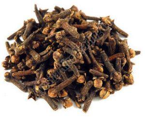 Natural Whole Cloves Seeds, Packaging Type : Packet, Specialities : Pure For Food Medicine