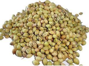 Whole Coriander Seeds, Color : Green, Packaging Type : Packet For Cooking