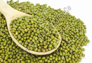 Natural Whole Green Moong Dal, Packaging Type : Packet For Cooking