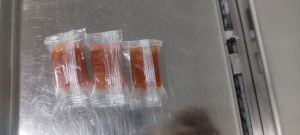 aam papad