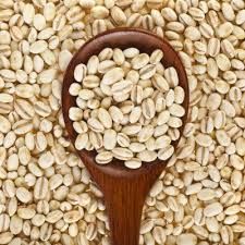 Barley Seeds, Packaging Size : 20-50kg, Packaging Type : PP Bag For Animal Feed