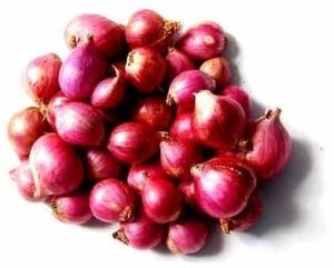 Fresh Small Red Onion 10-15 Days, Packaging Size : 5-25 Kg, Packaging Type : Net Bag