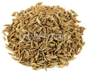 Common Cumin Seeds For Cooking