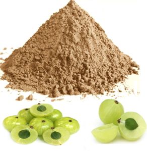 Dried Amla Powder