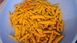 Dry Turmeric Finger