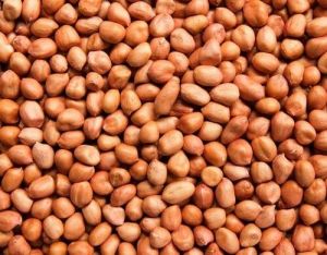 groundnut, Moisture : 4% Max for Light Sweet