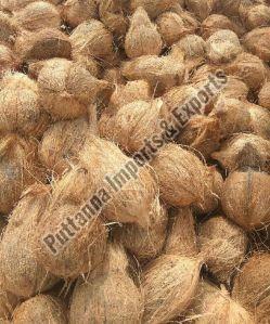 Common Semi Husked Coconut For Pooja, Cooking