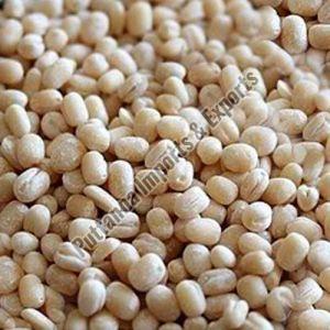 Urad Gota Dal, Certification : FSSAI Certified, Grade Standard : Food Grade For Cooking