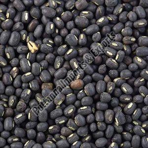 Whole Urad Dal, Color : Black, Grade Standard : Food Grade For Cooking