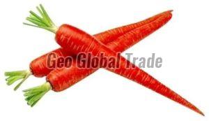 Organic A Grade Red Carrot For Human Consumption