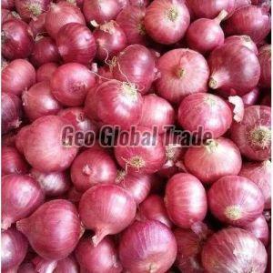 A Grade Red Onion For Cooking