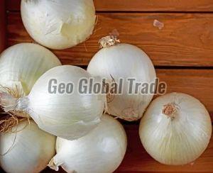 A Grade White Onion, Packaging Size : 5-25kg