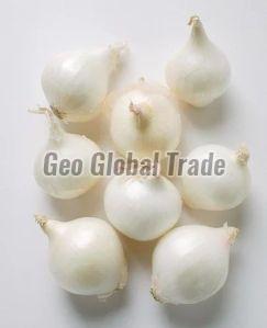 Small Size White Onion, Packaging Size : 5-25kg