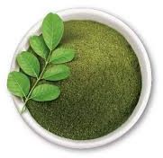 Moringa Leaves Powder, Color : Green Dried 1year