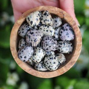 Dalmatian Jasper Tumbled Stone