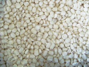 Natural White Maize Seeds