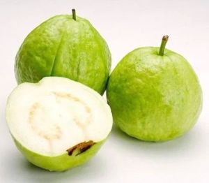 Natural Fresh Guava, Color : Green, Packaging Type : Paper Box, Packaging Size : 10kg