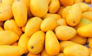 Natural Fresh Mango, Color : Yellow, Packaging Size : 10 Kg, Packaging Type : Paper Box