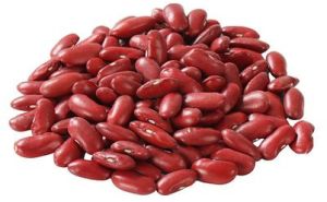 Natural Red Kidney Beans, Packaging Size : 20kg, Packaging Type : Bag For Cooking