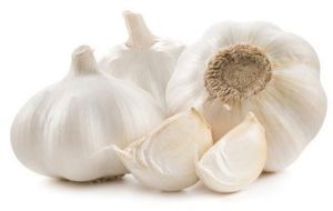 Organic Fresh Garlic, Color : White, Packaging Size : 20 Kg, Packaging Type : Bag