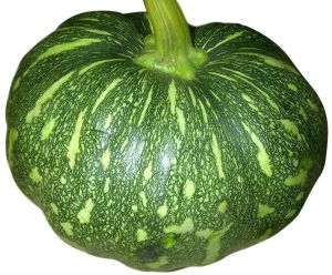 Fresh Green Pumpkin 3-5 Days, Packaging Size : 20-25kg, Packaging Type : Gunny Bag