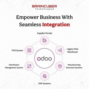 Odoo ERP Software