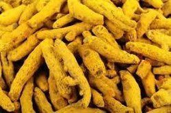 Common Turmeric Finger, Color : Dark Yellow, Light Yellow